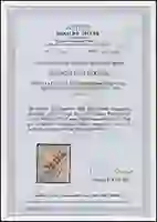 Steuer Certificate