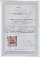 Steuer Certificate