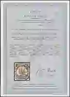 Steuer Certificate