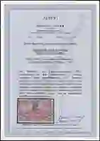 Steuer Certificate