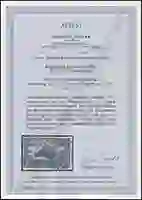 Steuer Certificate