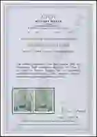 Steuer Certificate