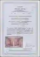 Steuer Certificate