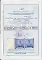 Steuer Certificate