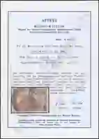 Steuer Certificate