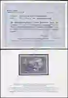 Steuer Certificate