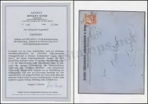 Steuer Certificate
