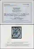 Provinsky Certificate