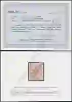 Steuer Certificate