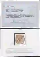 Steuer Certificate