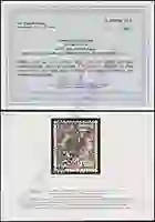 Provinsky Certificate