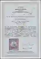 Steuer Certificate