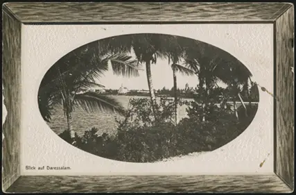 19 January 1911 (rear)