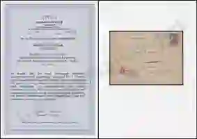 Steuer Certificate