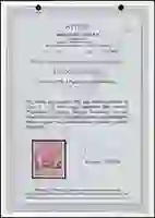 Steuer Certificate