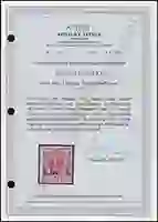 Steuer Certificate