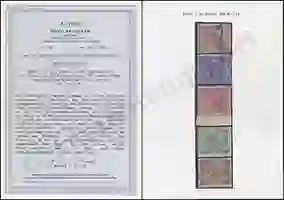Steuer Certificate