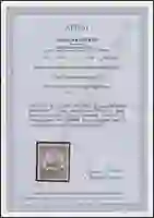 Steuer Certificate