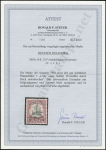 Steuer Certificate