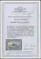 Steuer Certificate