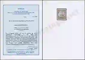 Steuer Certificate