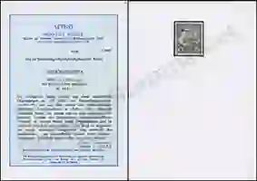 Steuer Certificate
