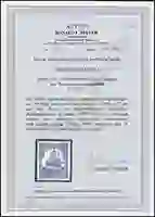 Steuer Certificate