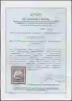 Steuer Certificate