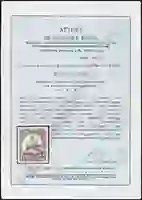 Steuer Certificate