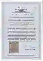 Steuer Certificate