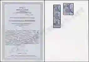 Steuer Certificate