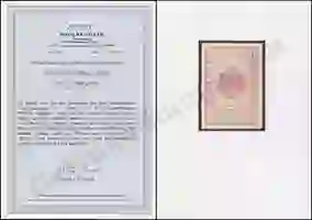 Steuer Certificate