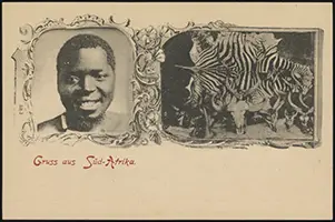 Fr PP2 E 1/03 (rear)