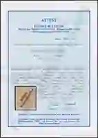 Steuer Certificate