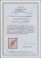 Steuer Certificate