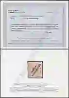 Steuer Certificate