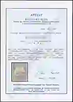 Steuer Certificate