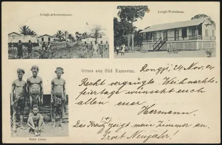 30 November 1904 (rear)