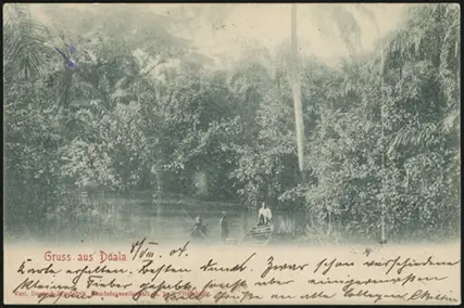 8 August 1904 (rear)