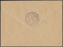 Sales Envelope (rear)
