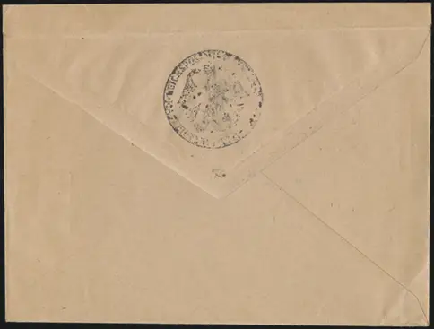 Sales Envelope (rear)