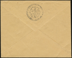 Sales Envelope (rear)