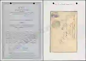 Steuer Certificate