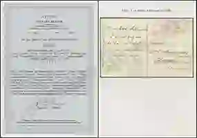 Steuer Certificate