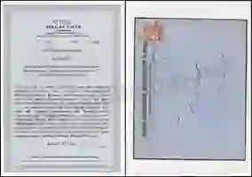 Steuer Certificate