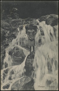 5 November 1910 (rear)