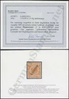 Steuer Certificate