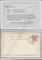 Steuer Certificate