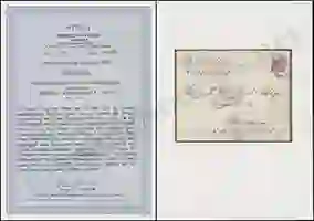 Steuer Certificate