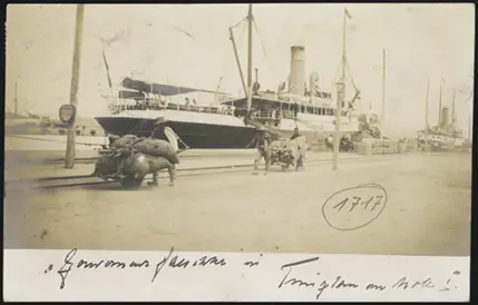 29 February 1906 (incorrect date) (rear)
